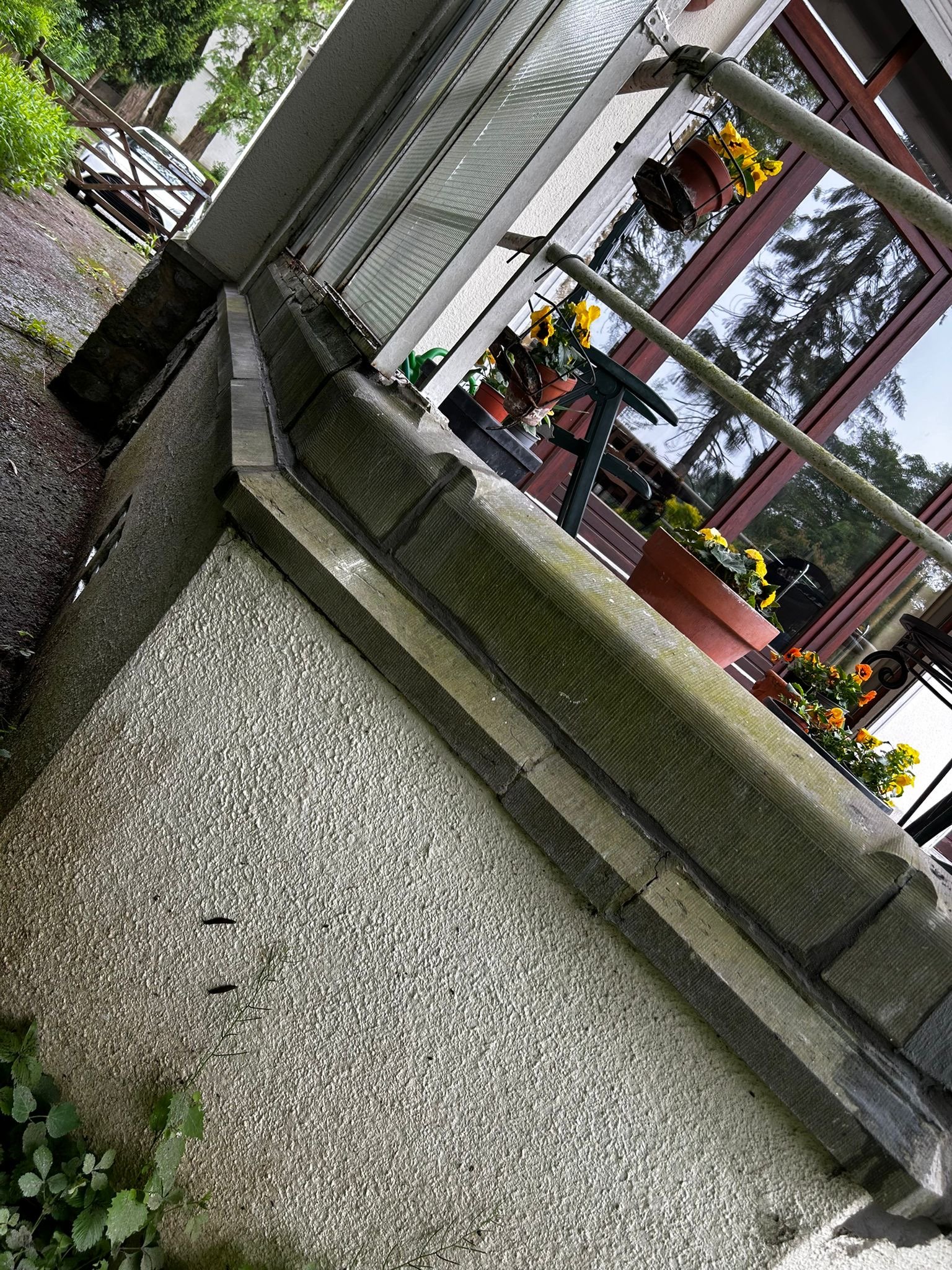 441867100_122132234186251055_5479572412662992456_n