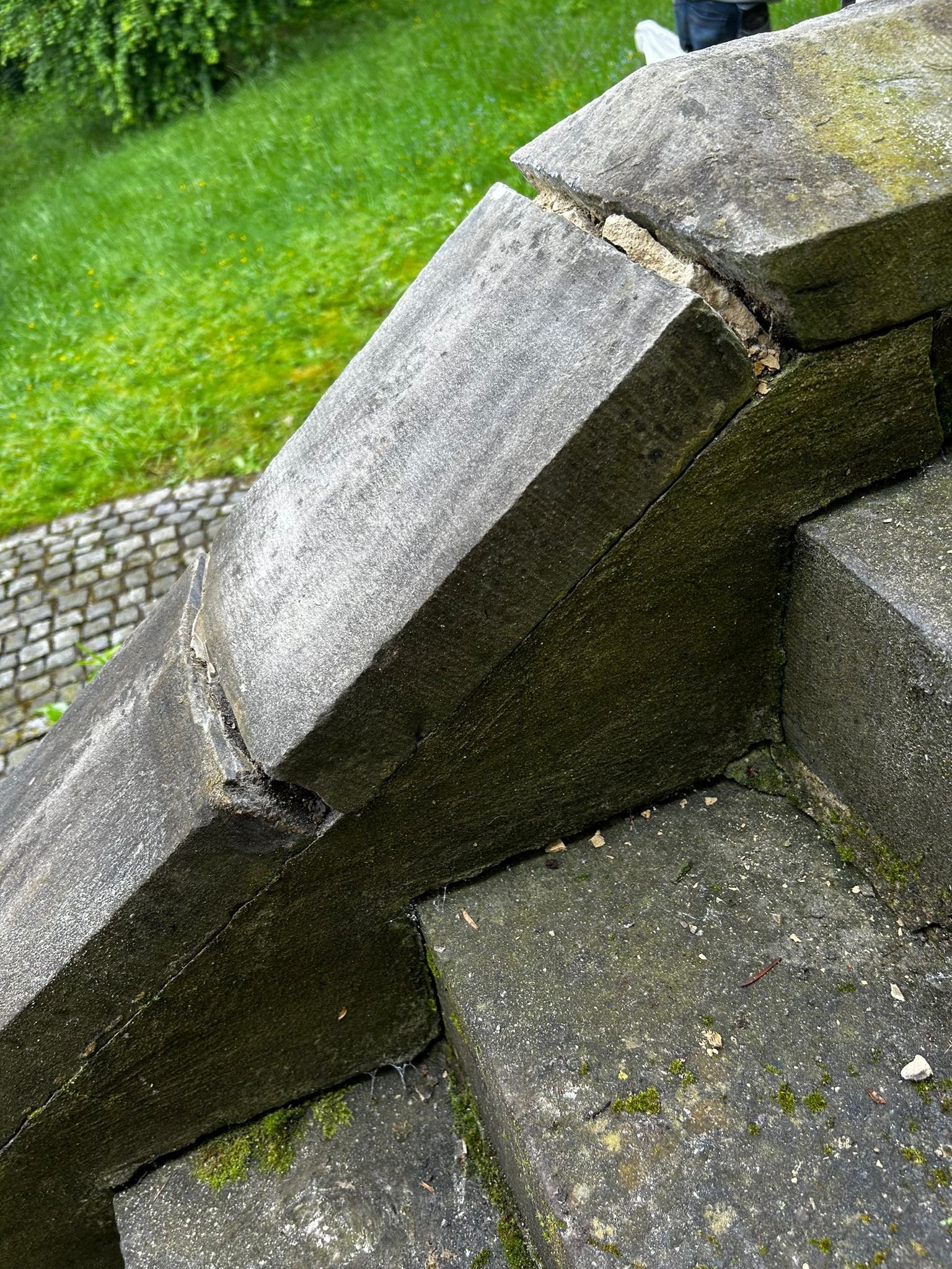 441883225_122132233544251055_7740999522334429229_n