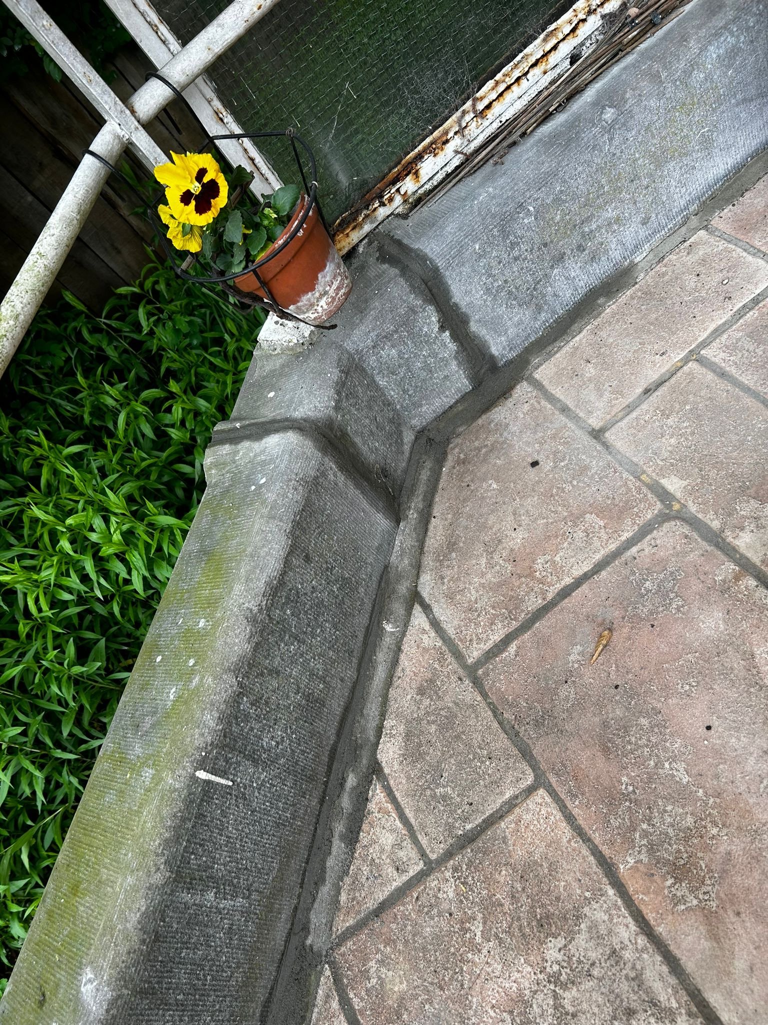 441899869_122132233706251055_3734866679388980966_n