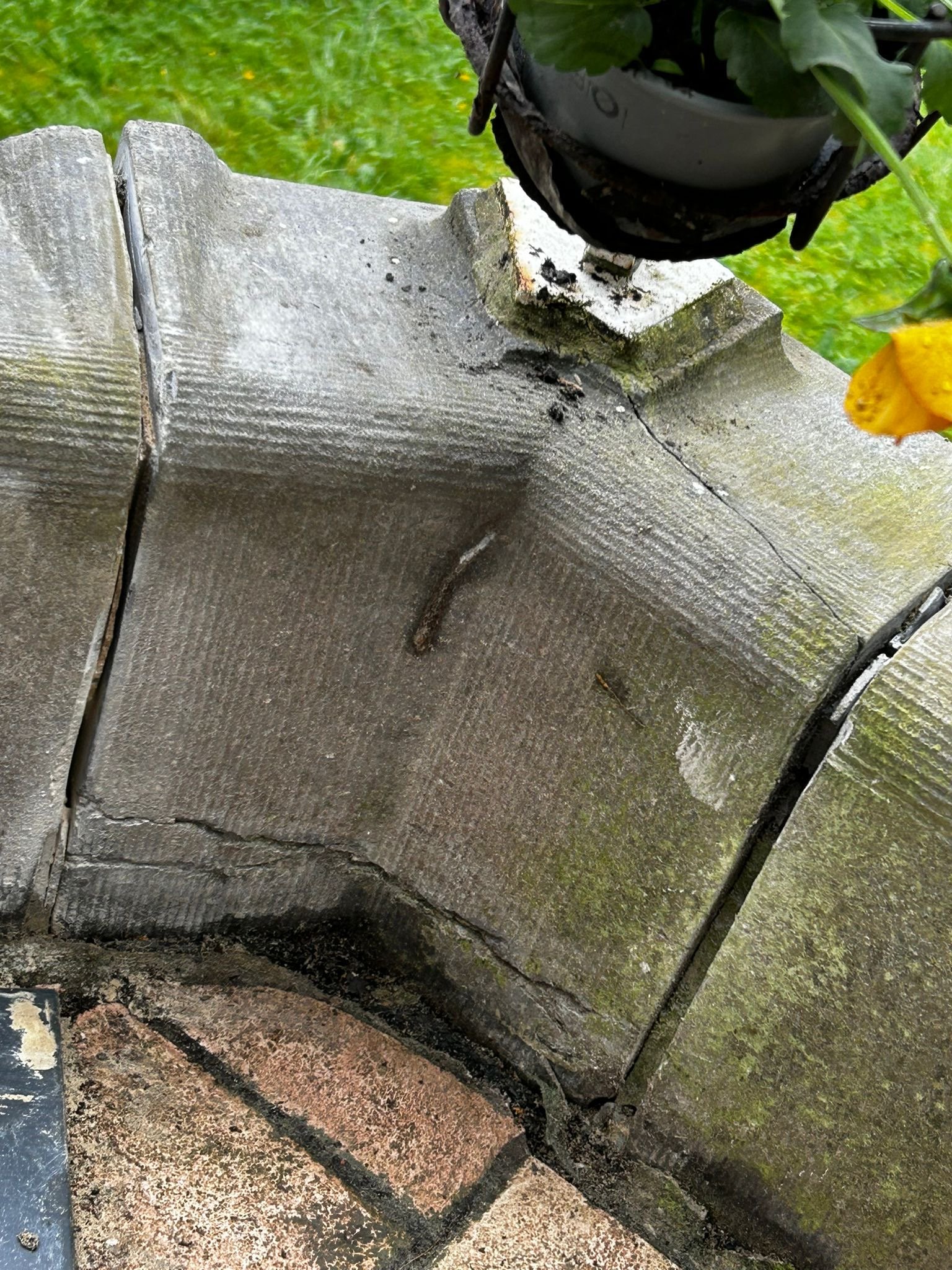 441900050_122132233406251055_7416740494364288056_n